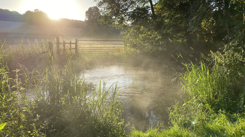 Good news for chalk streams