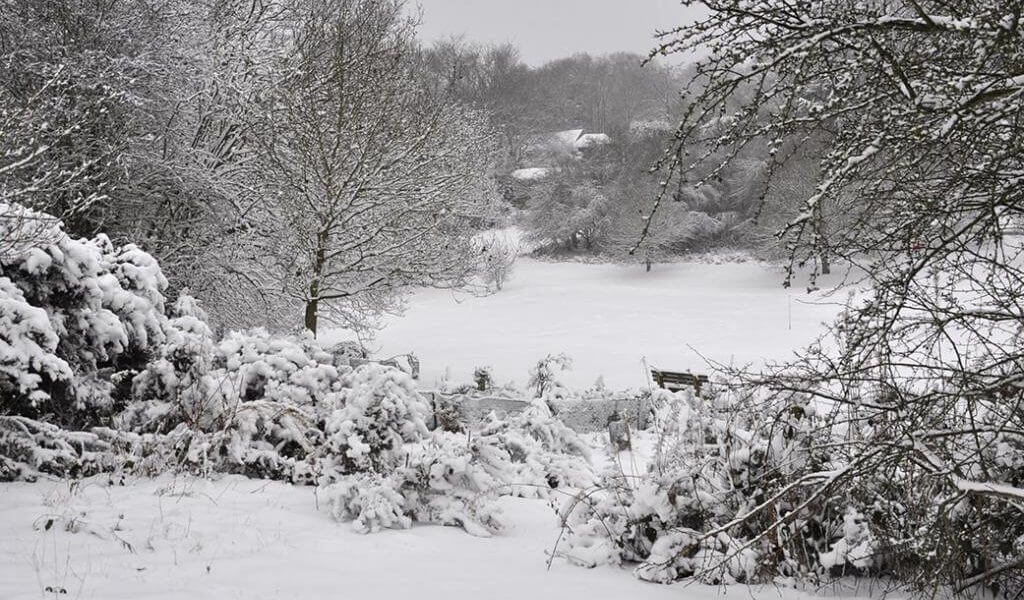 Friends of Studham Common