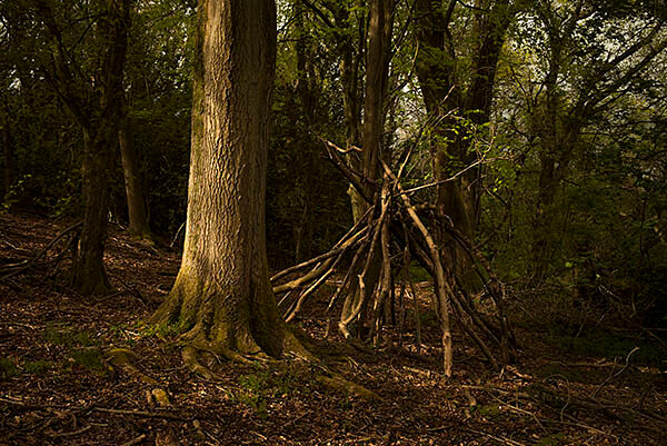 A Constant Ramble, by Matt Writtle