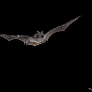 Concerns raised over HS2 Work in Jones’ Hill Wood, near Wendover in Buckinghamshire.