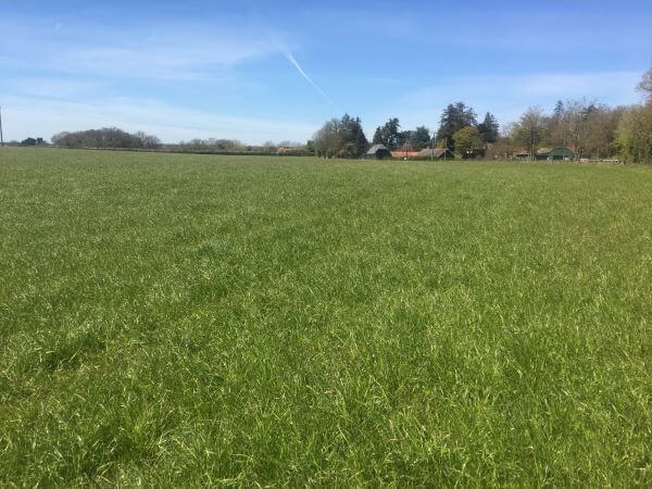 CCB makes formal complaint to the Planning Inspectorate about Sonning Common appeal decision