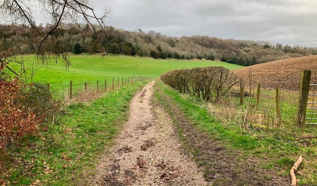 Downley Common and Hunts Hill walk
