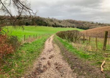 Downley Common Preservation Society