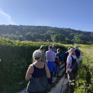 Rough Around the Edges, June Update