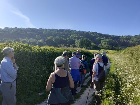 Rough Around the Edges, June Update