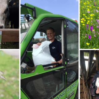Announcing the Farming in Protected Landscapes Programme