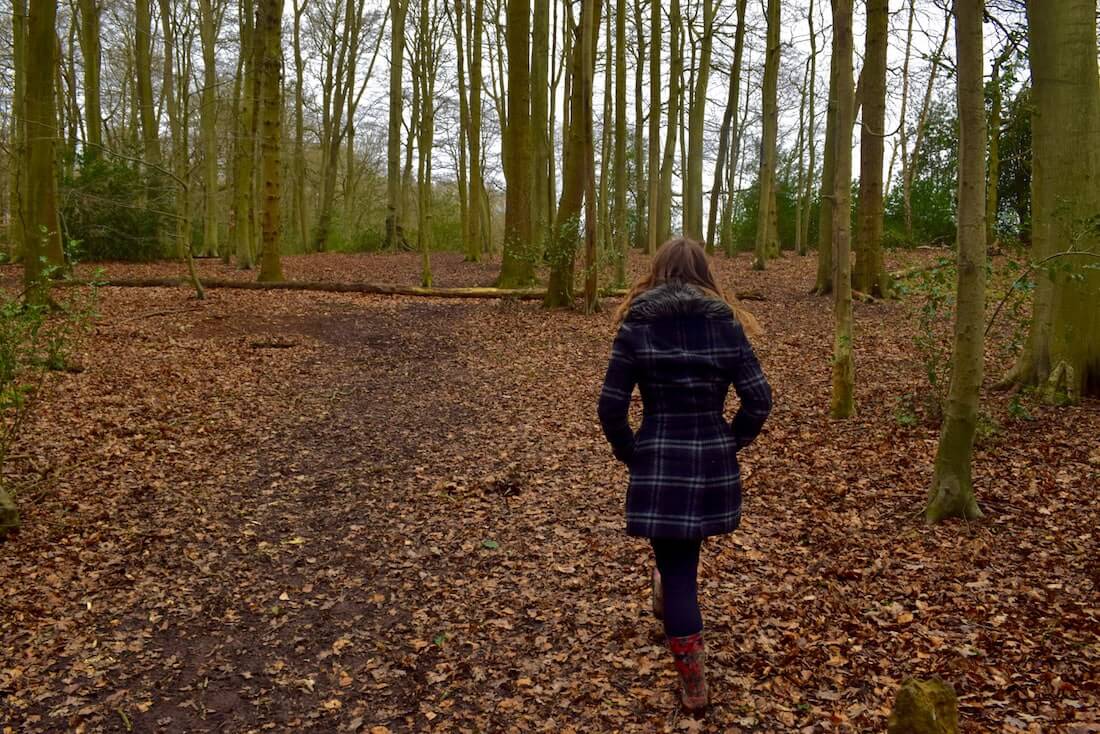 woman walking through beech woods