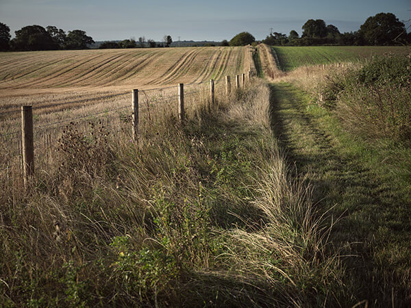 A Constant Ramble by Matt Writtle: Walk #4: Bottom House Farm Lane to Penn (4.9 miles)