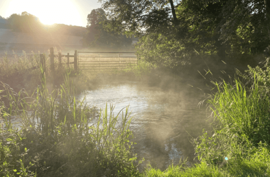 Chilterns Chalk Streams Project