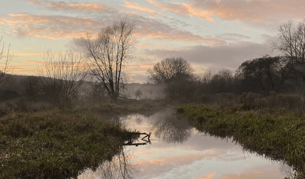 New chalk streams strategy launched to protect ‘England’s rainforests’