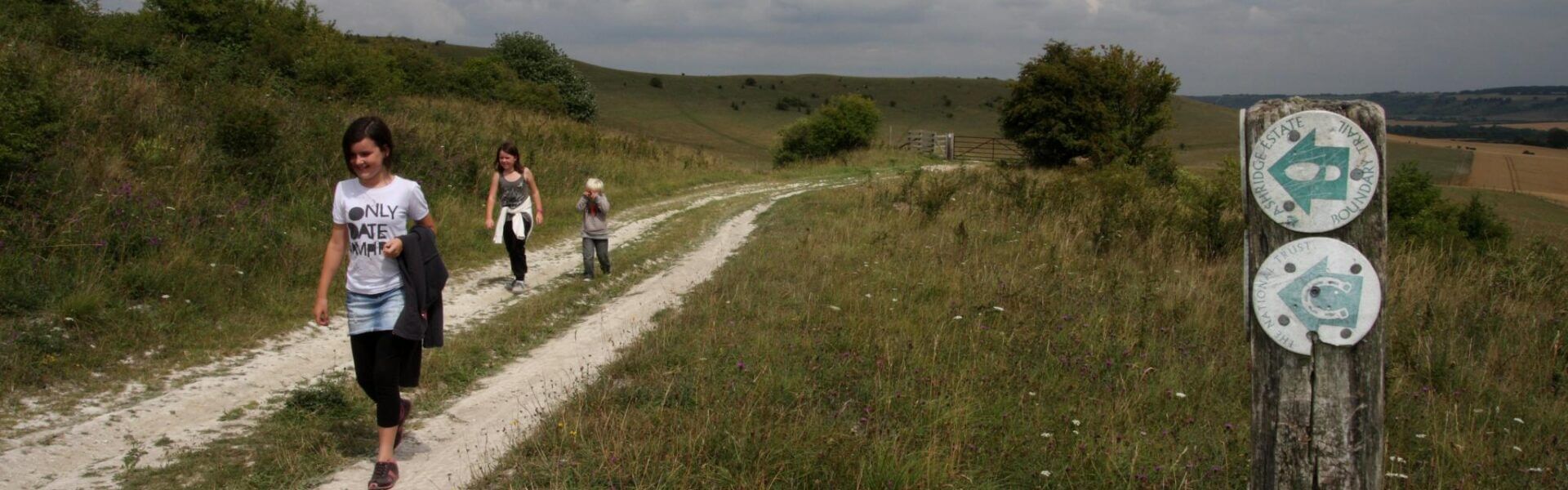 New social-distance friendly walks launched in the Chilterns