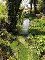 River Wye receives boost as abstraction levels are reduced