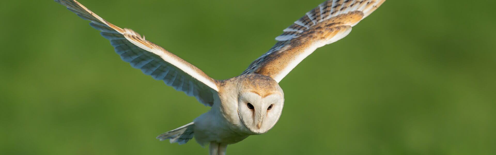 About Chalk, Cherries and Chairs