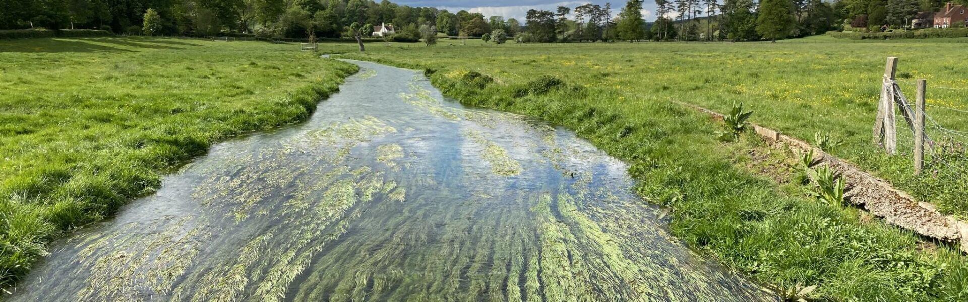 Chiltern Society gains two new recruits for the Chalk Streams and Wetland Meadows Project