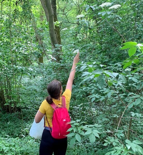 It's that time again- let's get making Elderflower cordial!
