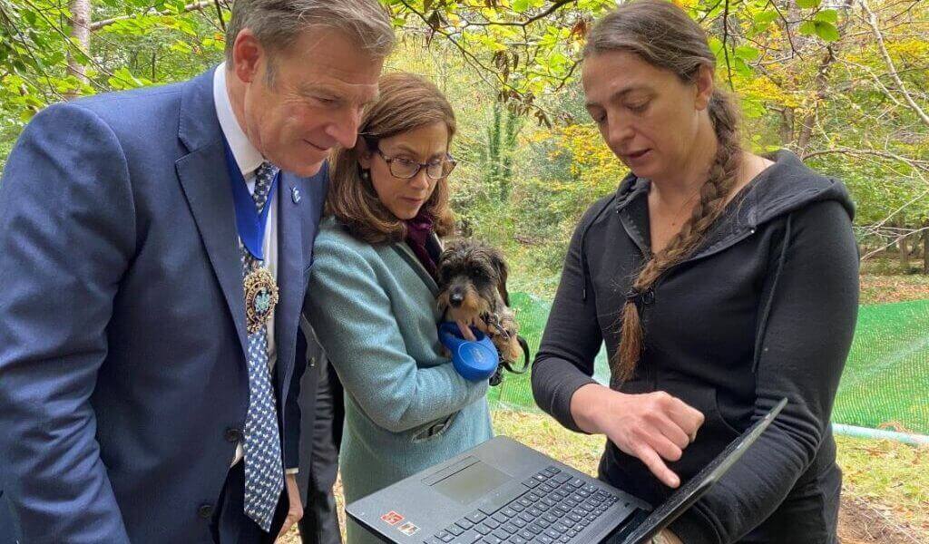 The Lord Mayor, Leaf Cover and Charcoal Luck