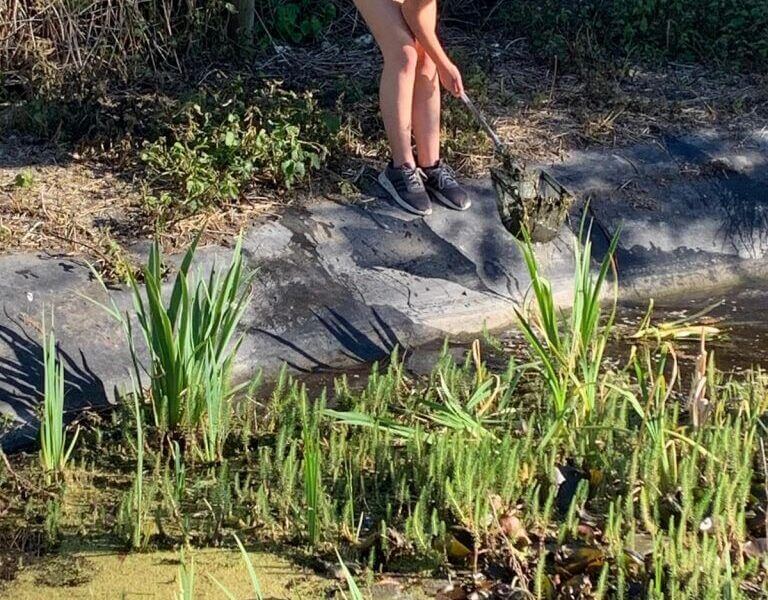 Explore a pond this World Environment Day