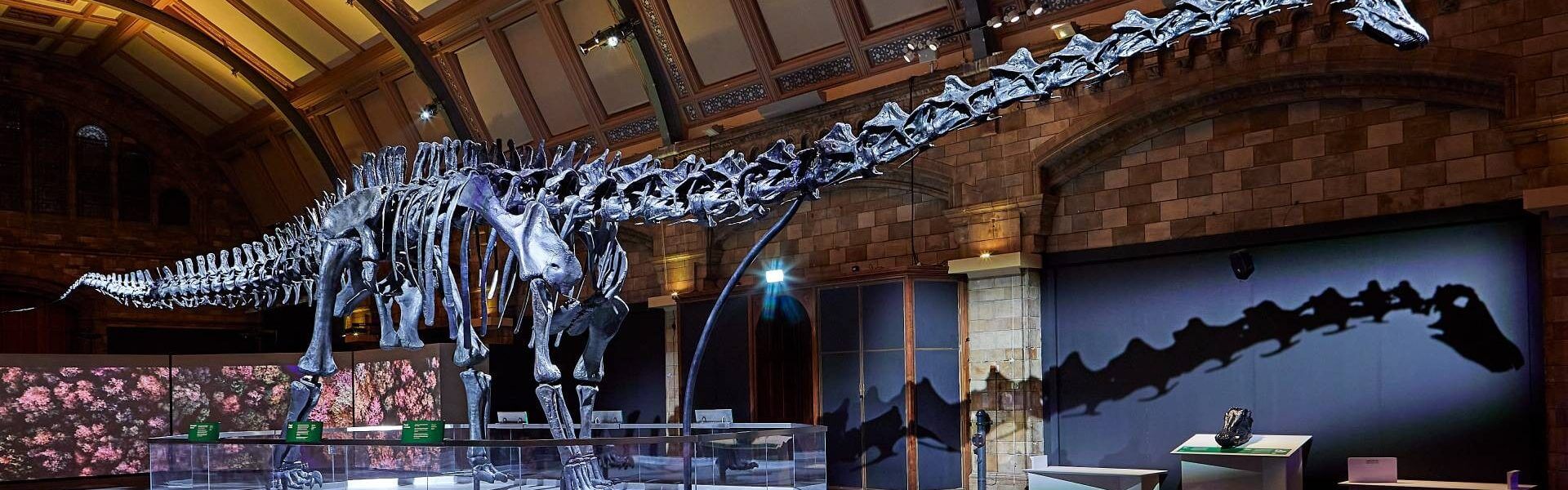 Natural History Museum at Tring