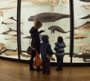 Mum and kids looking at a display
