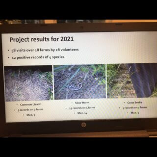 Tracking the Impact: In Celebration of Volunteers