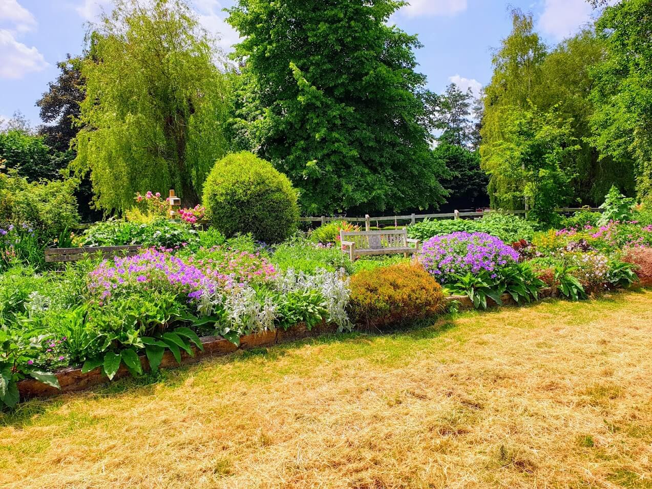 Berkhamstead Canal-Fields