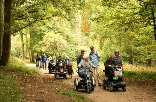 Group of people on mobility scooters moving through beechwoods