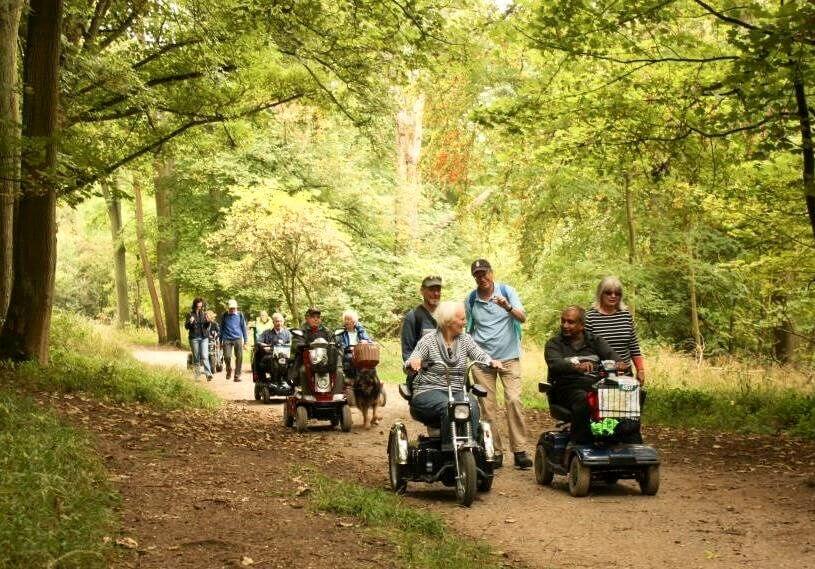 Group of people on mobility scooters moving through beechwoods