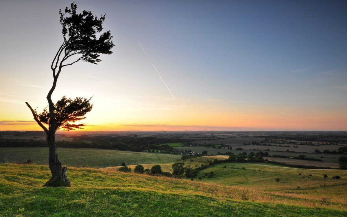 Deacon Hill Pegsdon (credit Greg Knapp) 2