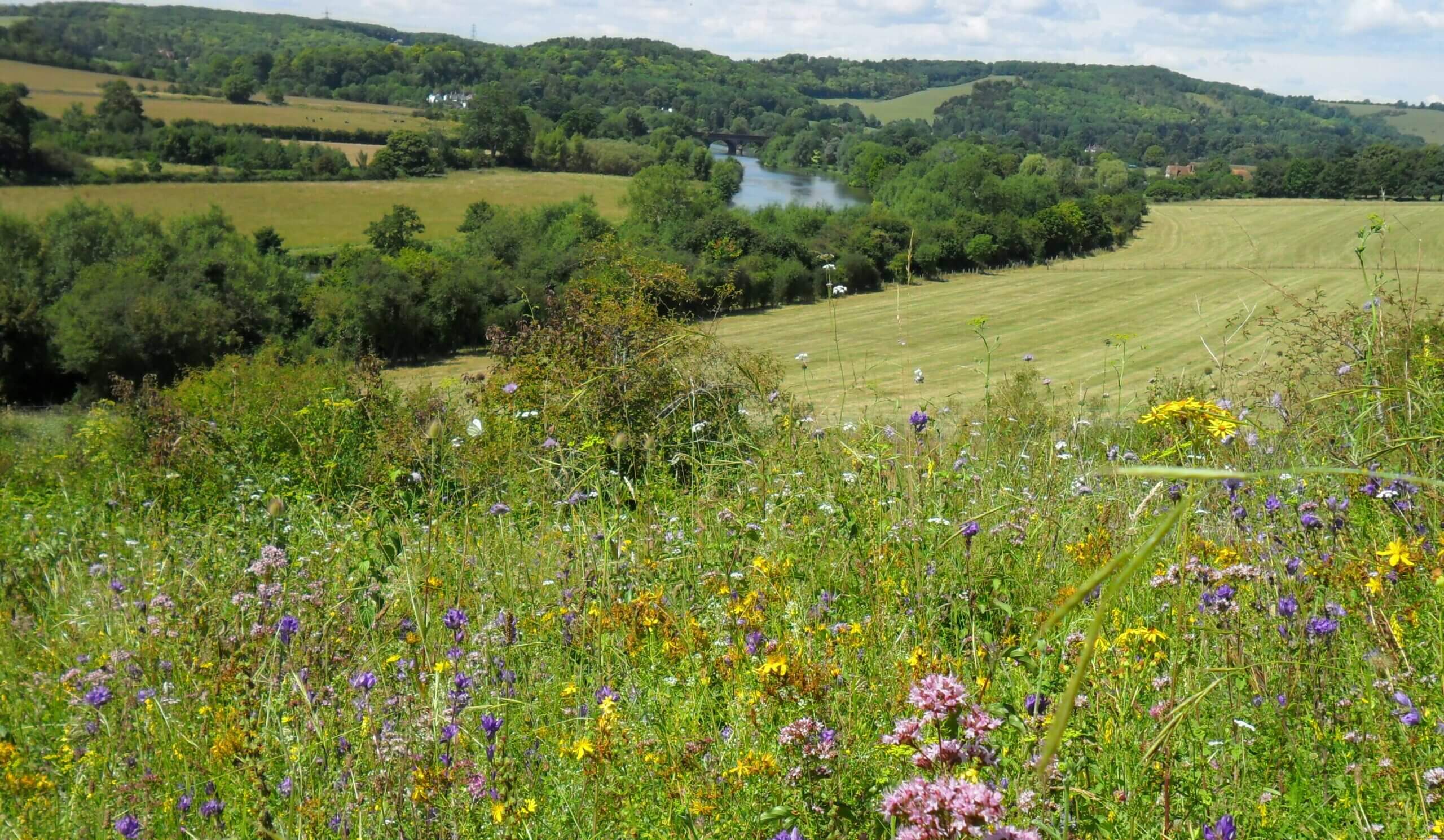 KL Goring Hartslock Nature Reserve