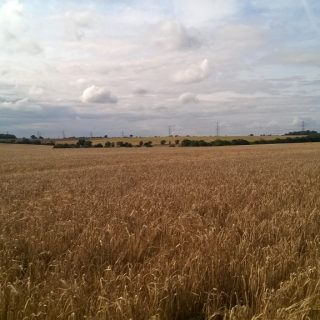 Green light for new major link road through the AONB north of Luton