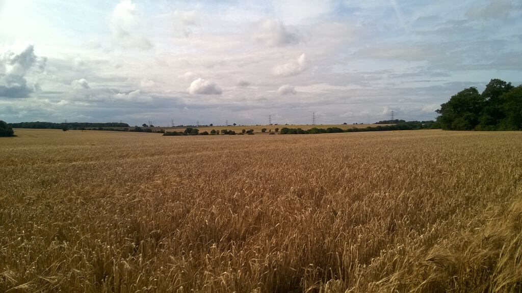 Green light for new major link road through the AONB north of Luton