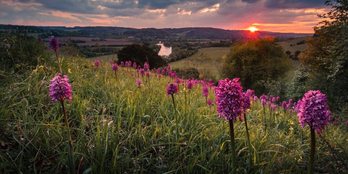 Chilterns Conservation Board welcomes publication of the Government’s response to the Landscapes Review