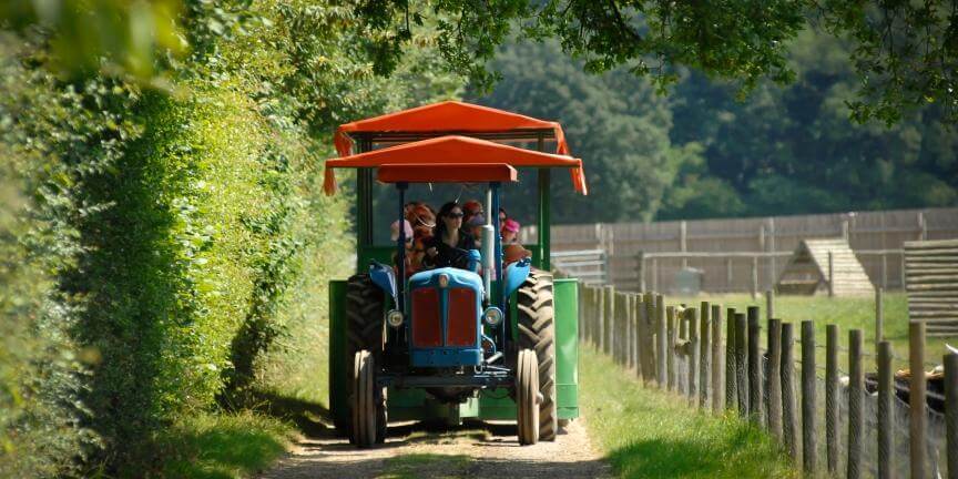 Tractor-Trailer-Rides-Odds-Farm-Park-