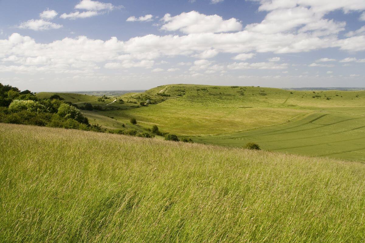 View of Ivinghoe Beacon (copyright Chris Smith resize