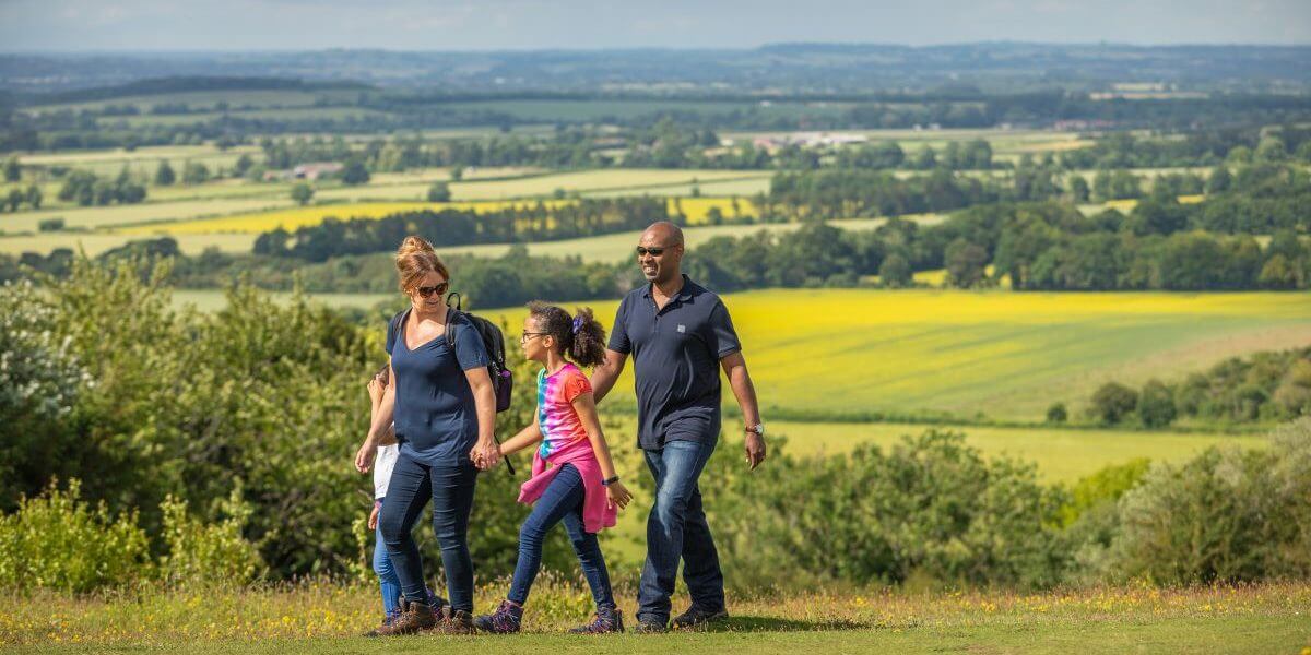 New Board member positions available