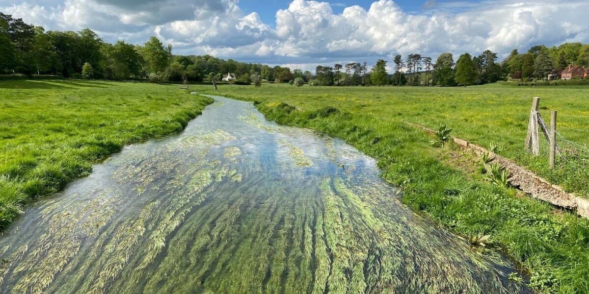 Chilterns Chalk Streams Project publishes a major report & hosts a conference marking 25 years of the Project