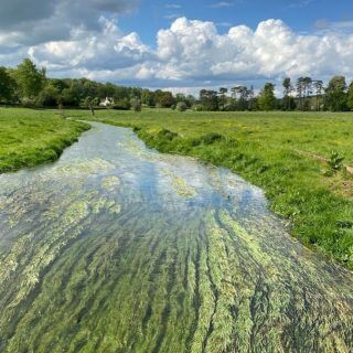 Chilterns Chalk Streams Project publishes a major report & hosts a conference marking 25 years of the Project