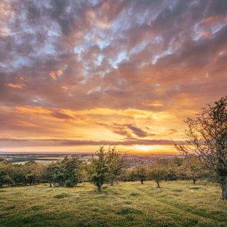 Bigger and Better – next steps for the Chilterns AONB