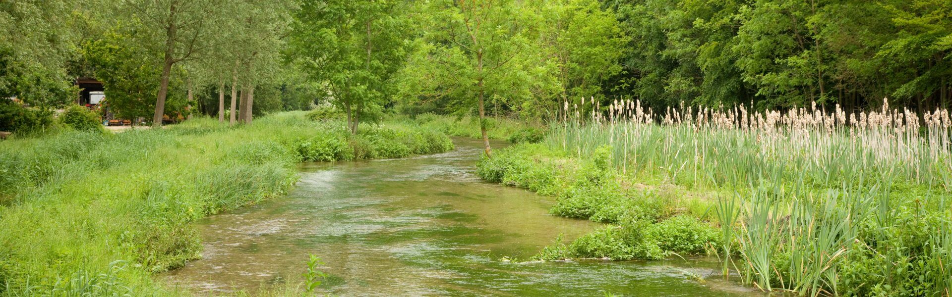 Chess Smarter Water Catchment Initiative