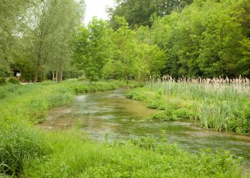 Chess Smarter Water Catchment Initiative