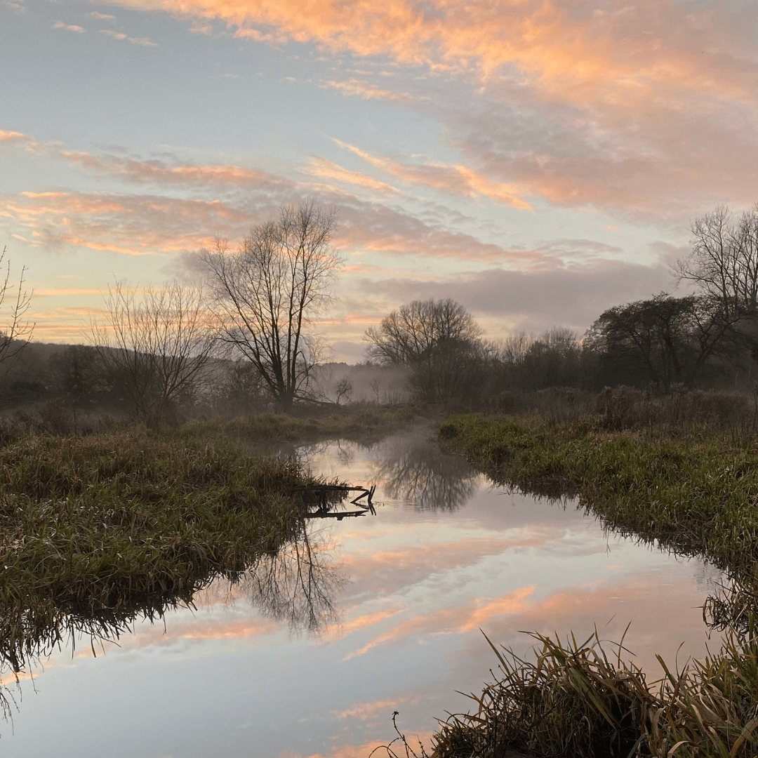 River Chess at Chenies, by Allen Beechey