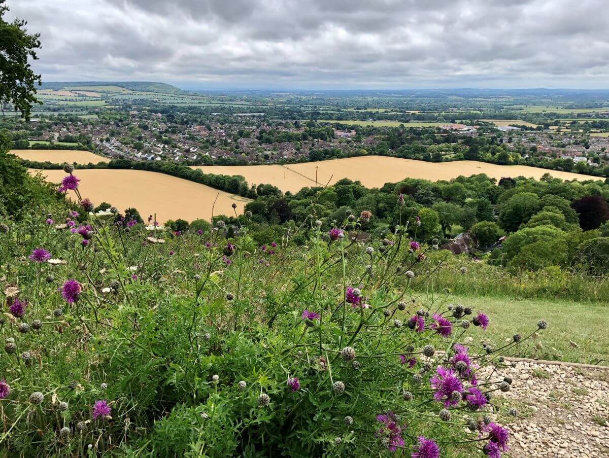 Princes Risborough viewed from Whiteleaf Hill, Mary Tebje