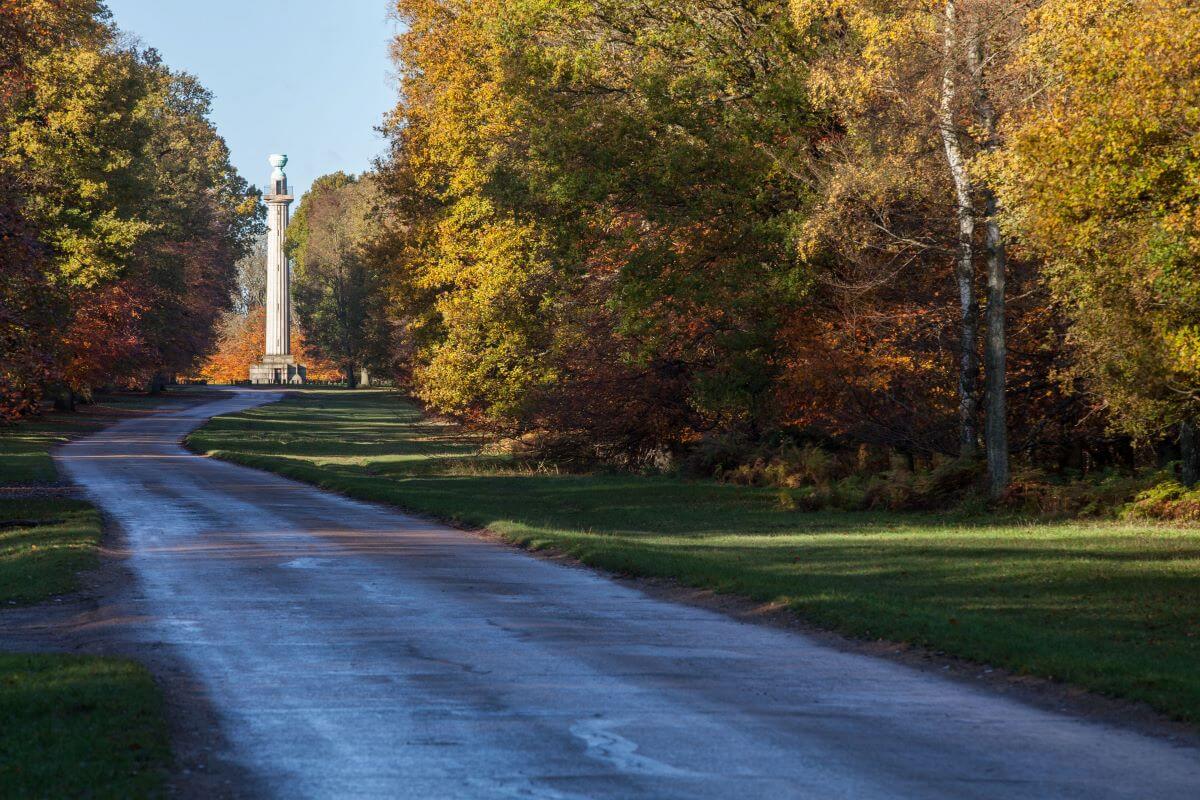 Autumn Beechwood and a monument at the Ashridge Estate