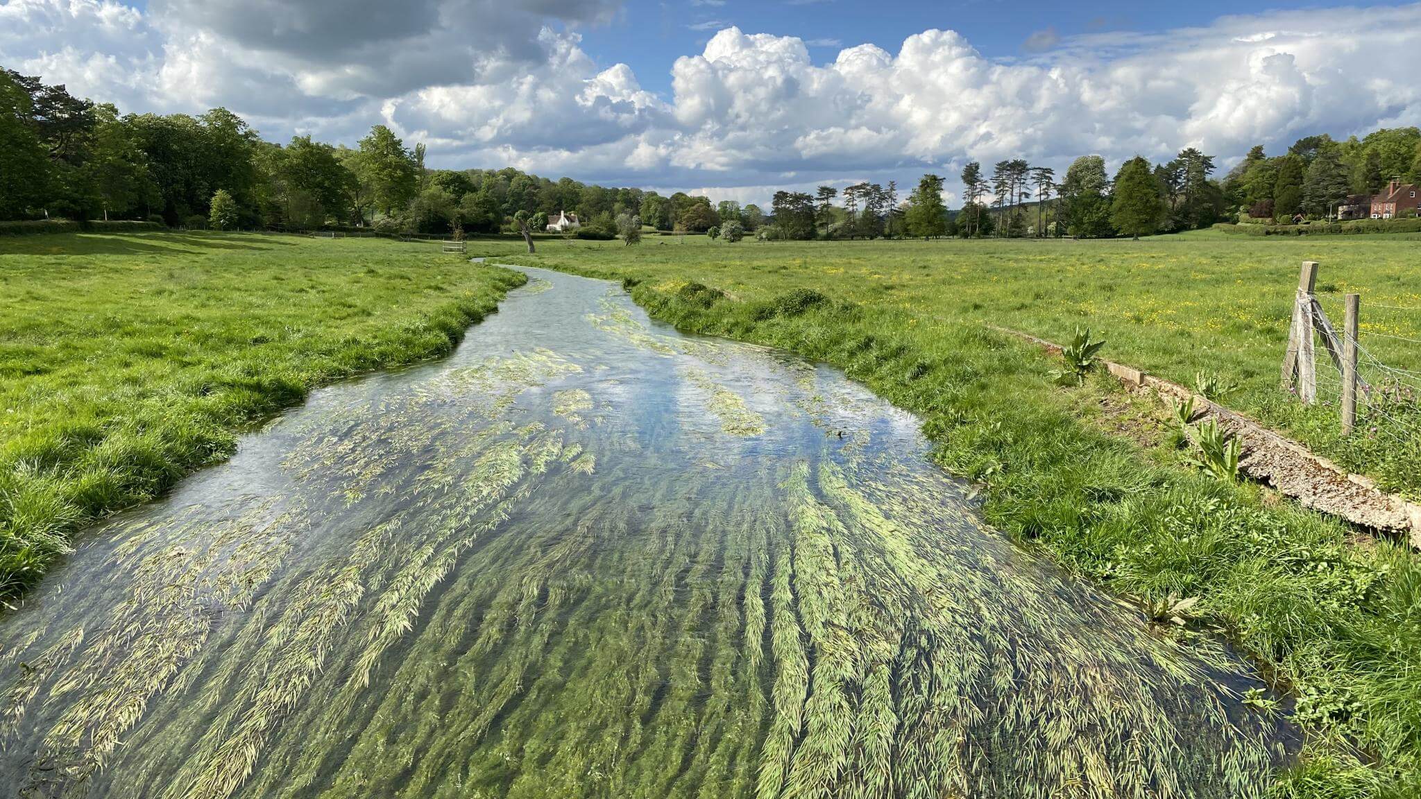 chalk_streams_june2020