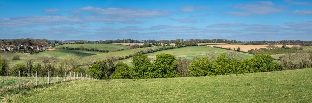 Berkhamsted and Ashridge Walk: full route