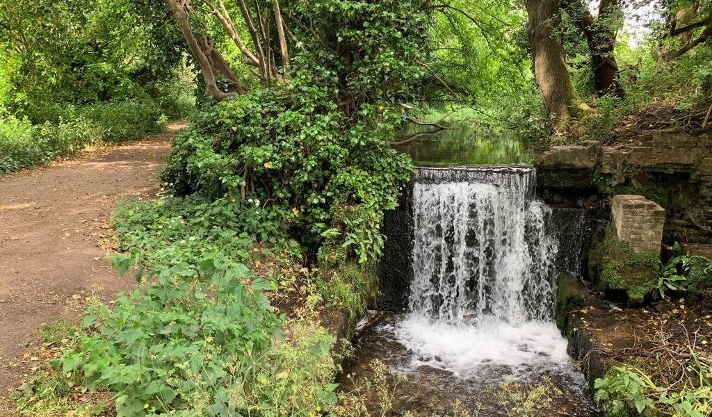 Chesham Riverside and Woodland Walk