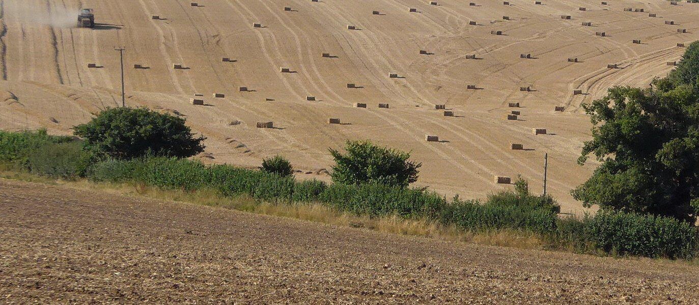 Kimpton Farmland and Nature Walk: full route