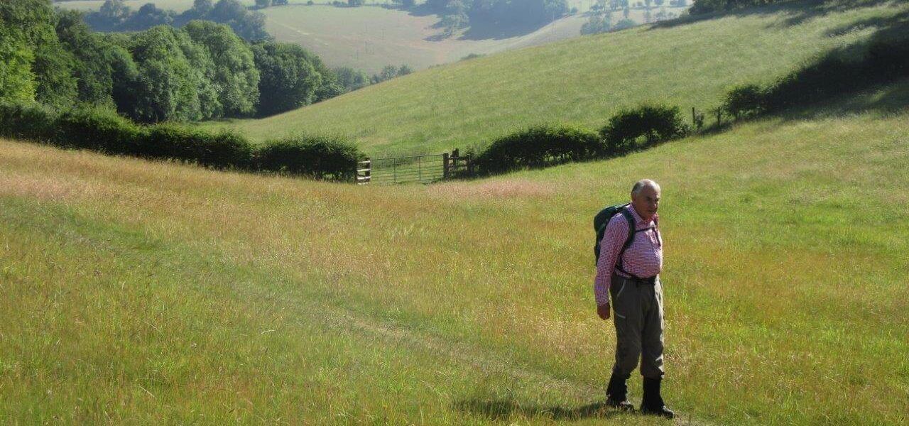 Nettlebed Woodland and Wildlife walk