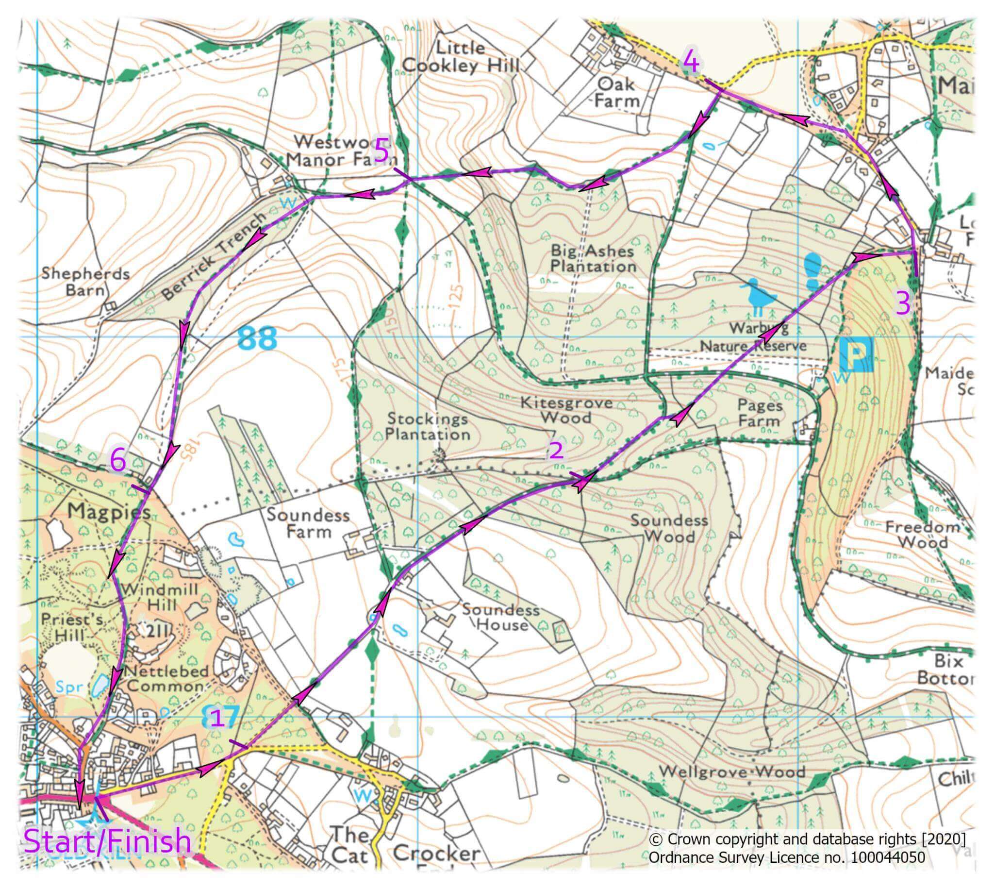 SD_Nettlebed_Warburgh