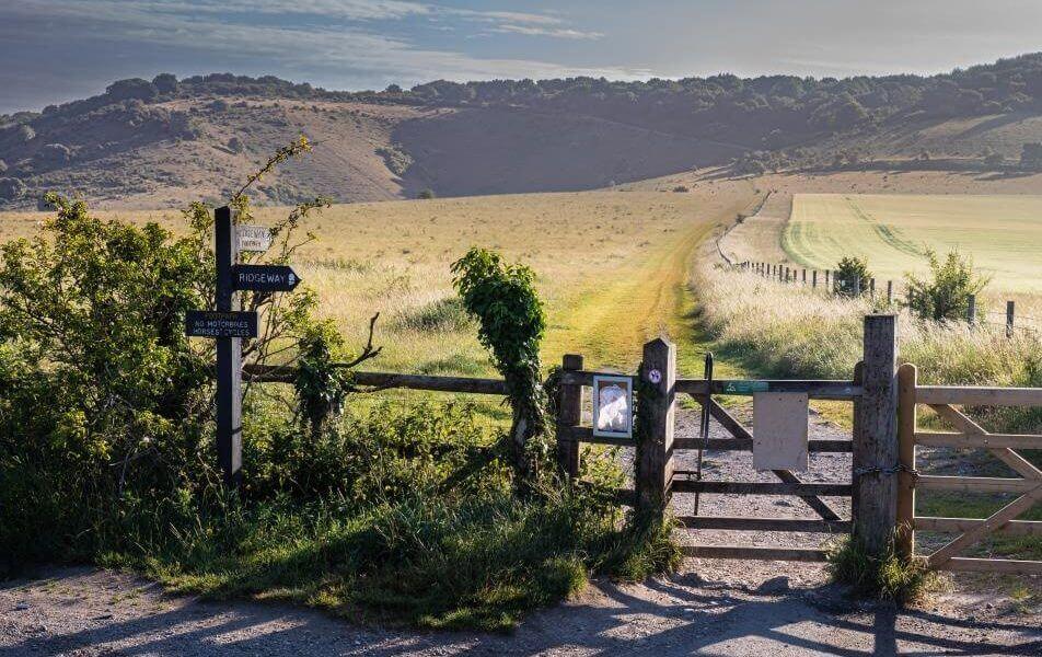 Pitstone Hill, Ashridge and Aldbury Walk: full route